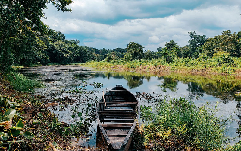 Explore Untamed Nature